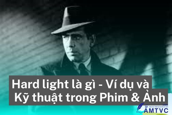 Hard light là gì Ví dụ và Kỹ thuật trong Phim Ảnh